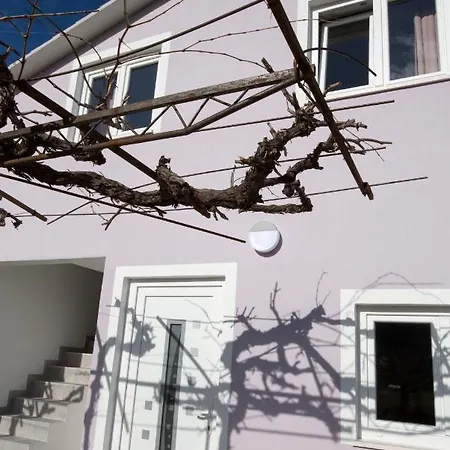 Daire Maya Bellissima Tugare